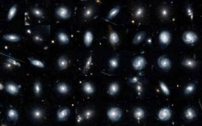 Calling Citizen Scientists: Galaxy Zoo Euclid Project