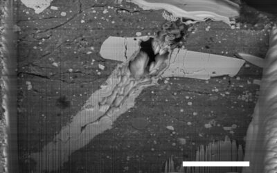 Bennu Samples Reveal Complex Origins, Dramatic Transformation